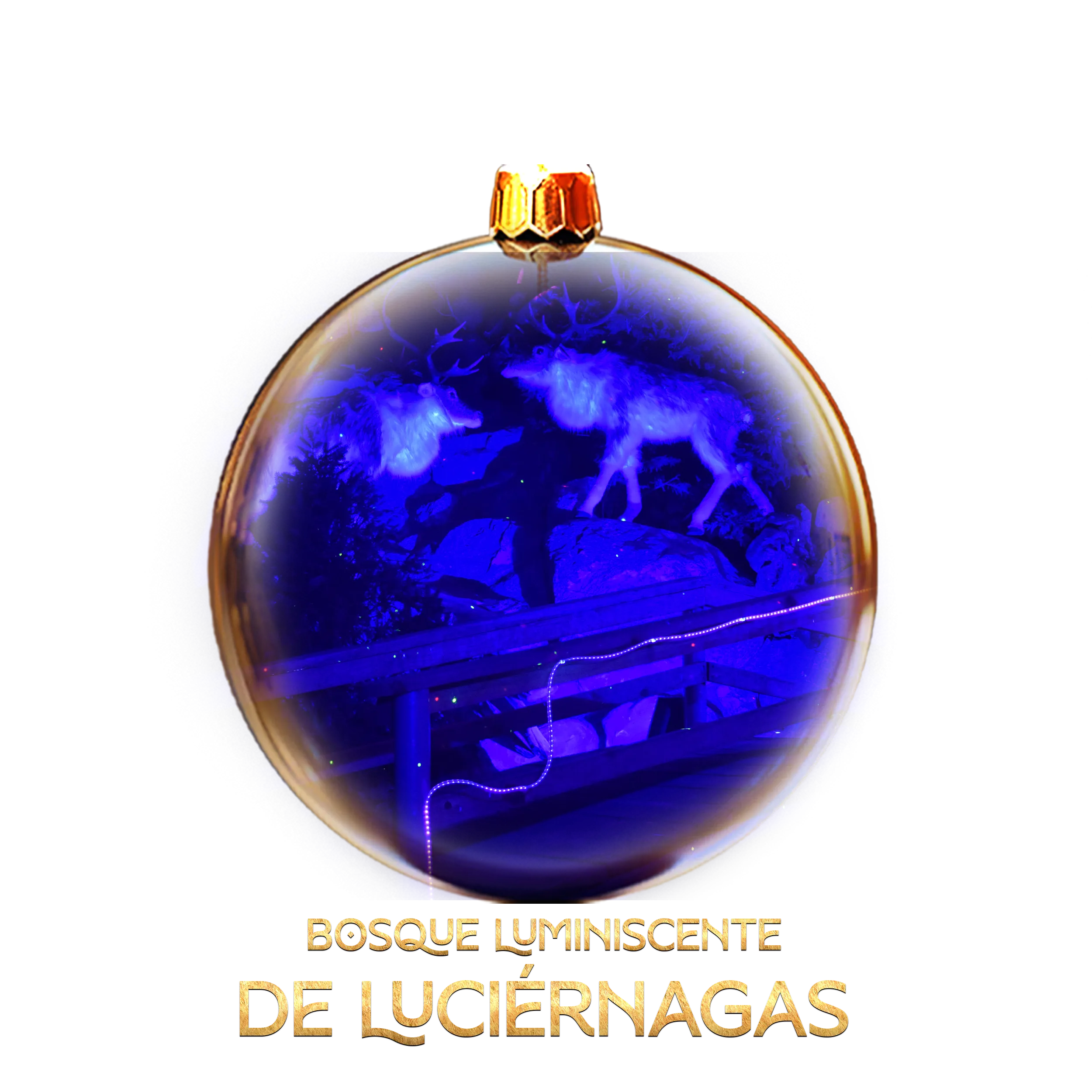 Bosque de luciérnagas